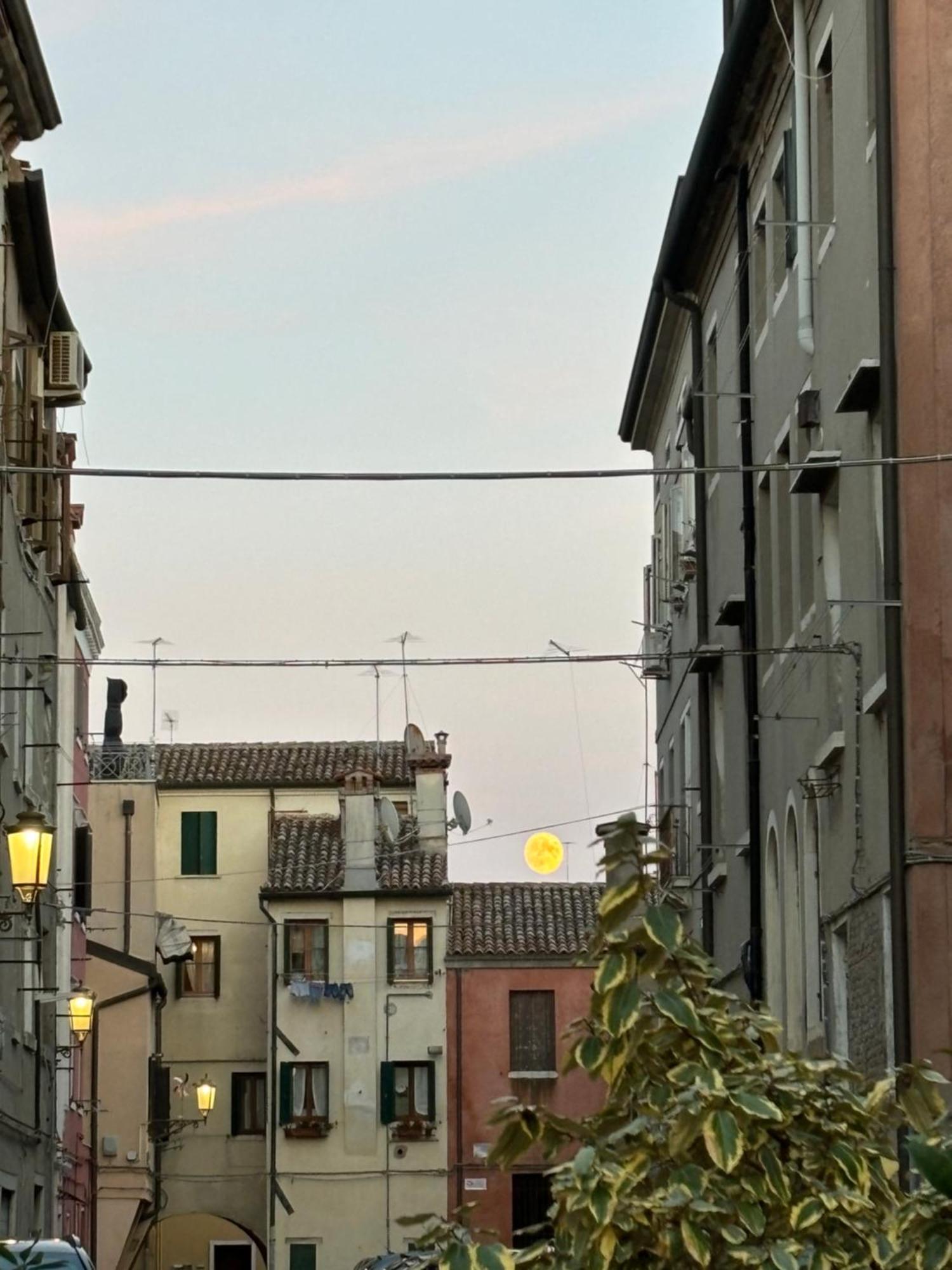 Appartamento Ca' Donin - Centro Storico Chioggia Esterno foto